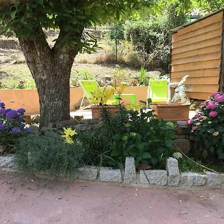 Mini De Charme. Zonza