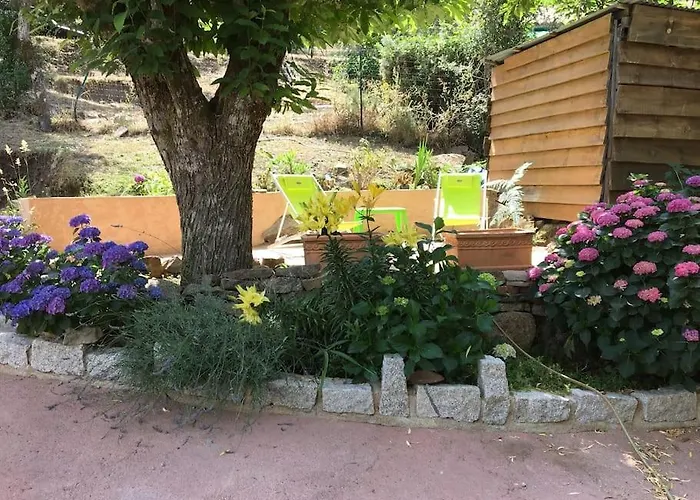 Mini De Charme. Zonza